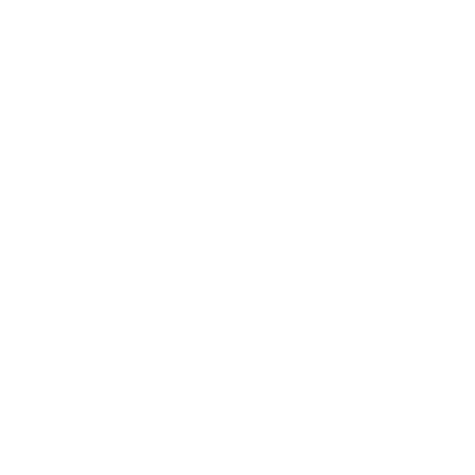 لوگو بی بی جان بیگم